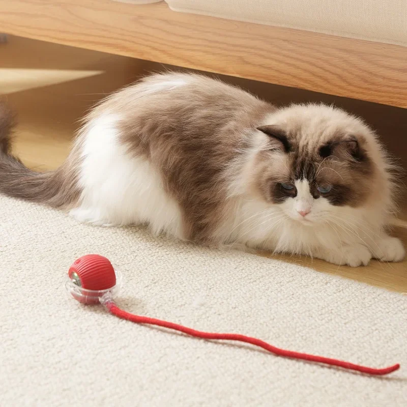 Automatic Rolling Ball Cat Dog Toy,Interactive Rechargeable Electric Smart Toy with Tail, Indoor Pet Training Boredom Relief Toy