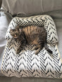 Cozy Pet Couch Protector Bed
