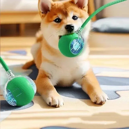 Automatic Rolling Ball Cat Dog Toy,Interactive Rechargeable Electric Smart Toy with Tail, Indoor Pet Training Boredom Relief Toy