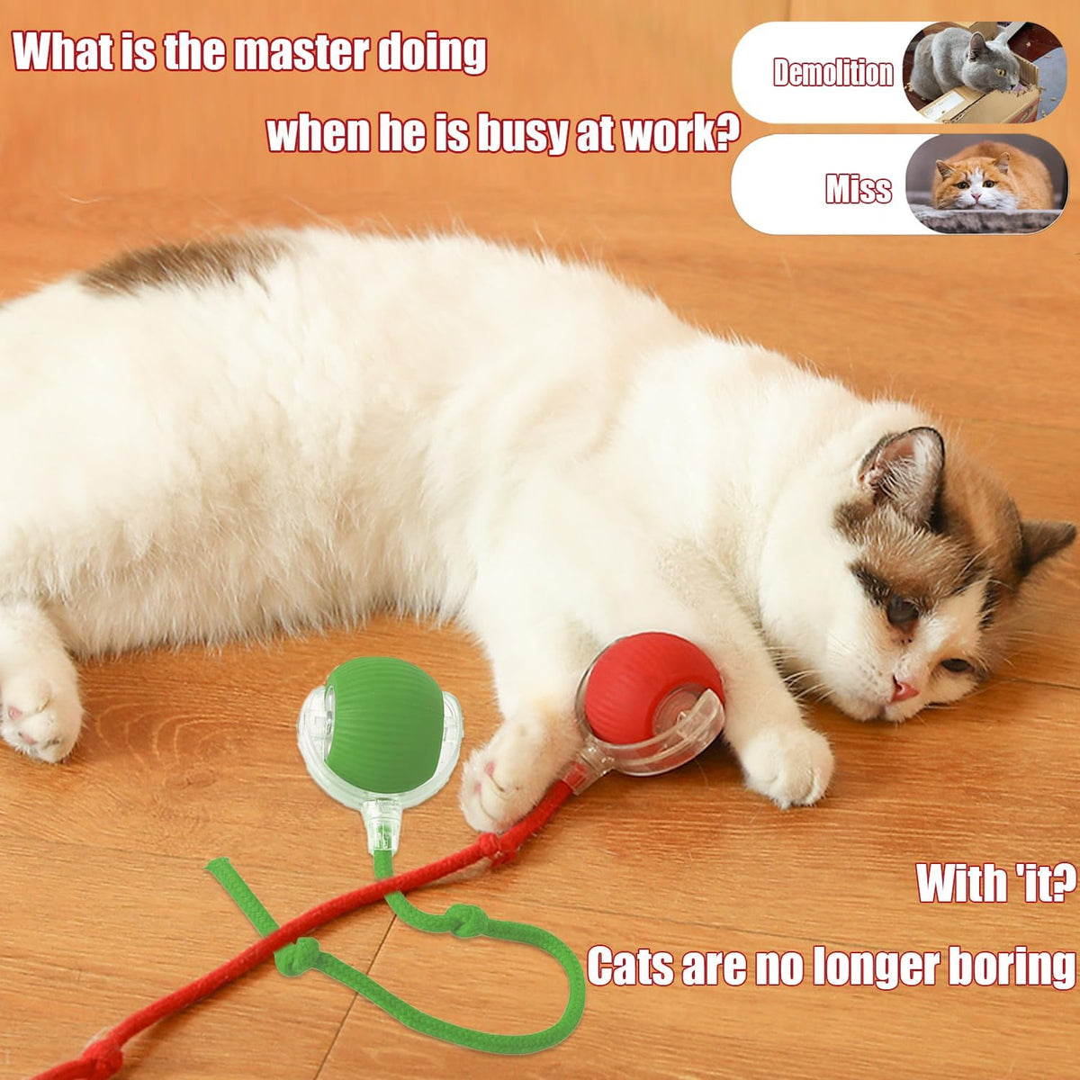 Interactive Rolling Cat Toy