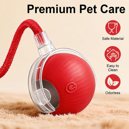 Interactive Rolling Cat Toy