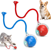 Interactive Rolling Cat Toy