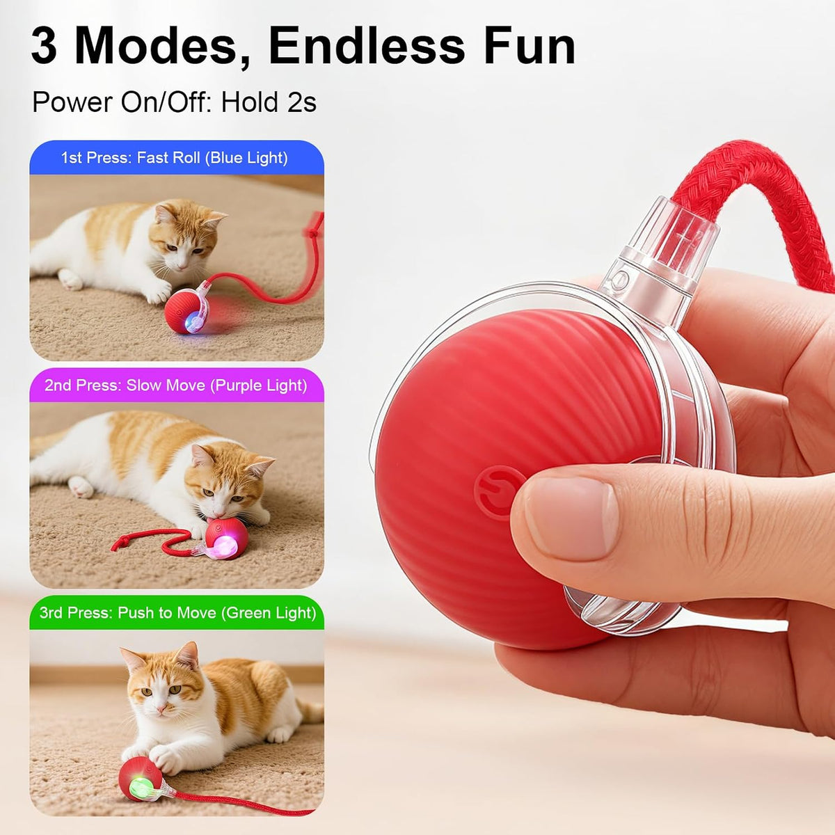 Interactive Rolling Cat Toy