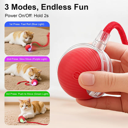 Interactive Rolling Cat Toy