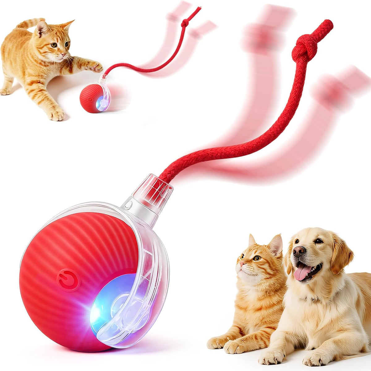 Interactive Rolling Cat Toy