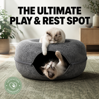 2-in-1 Cat Tunnel & Cozy Donut Bed