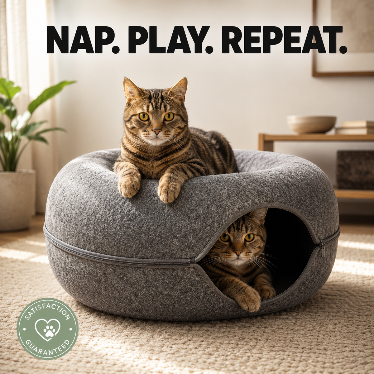 2-in-1 Cat Tunnel & Cozy Donut Bed