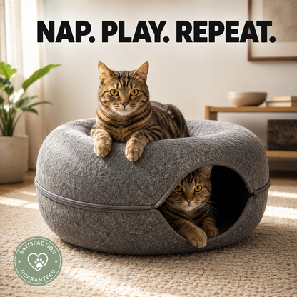 2-in-1 Cat Tunnel & Cozy Donut Bed
