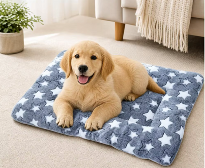 Plush Flannel Cat & Dog Sleeping Mat