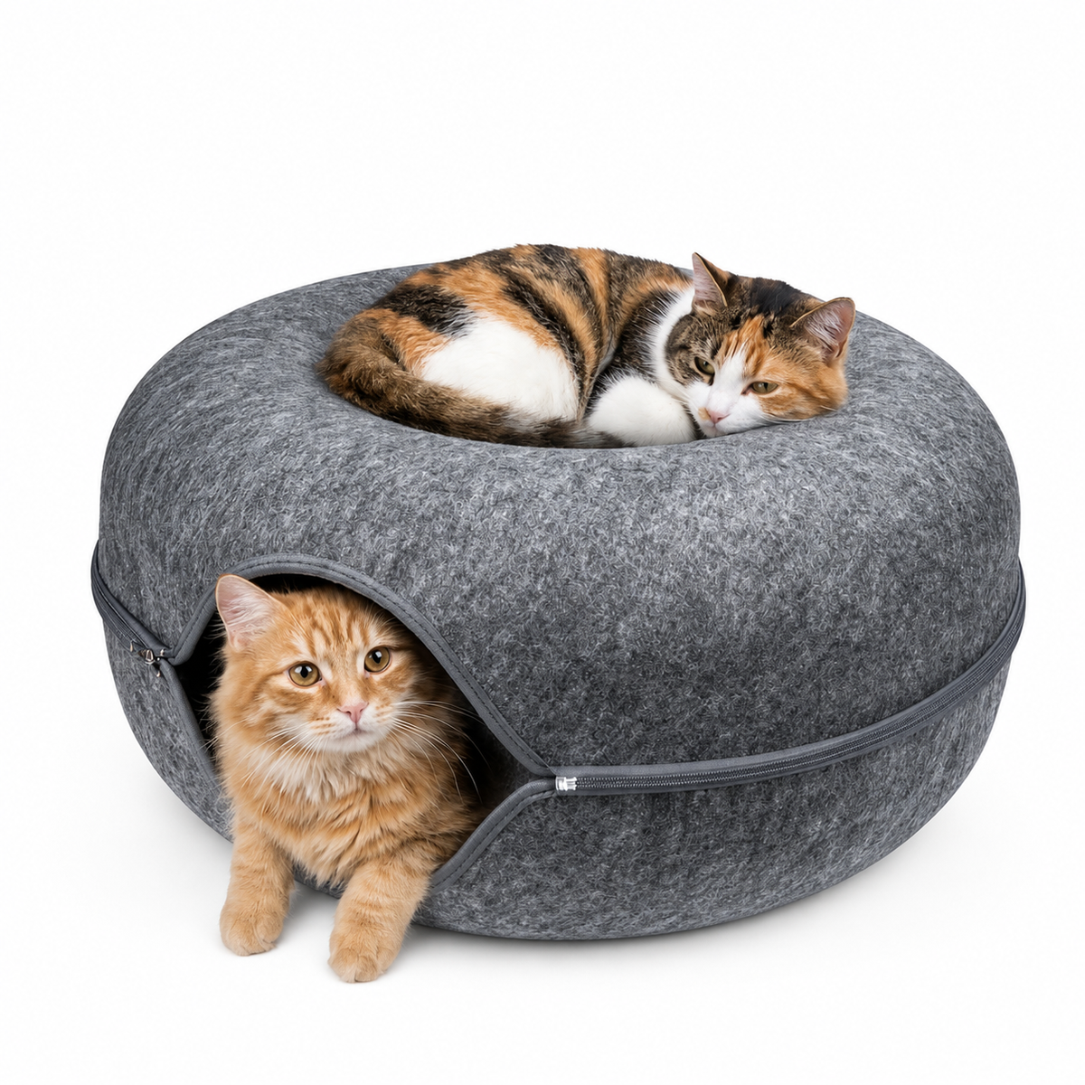 2-in-1 Cat Tunnel & Cozy Donut Bed