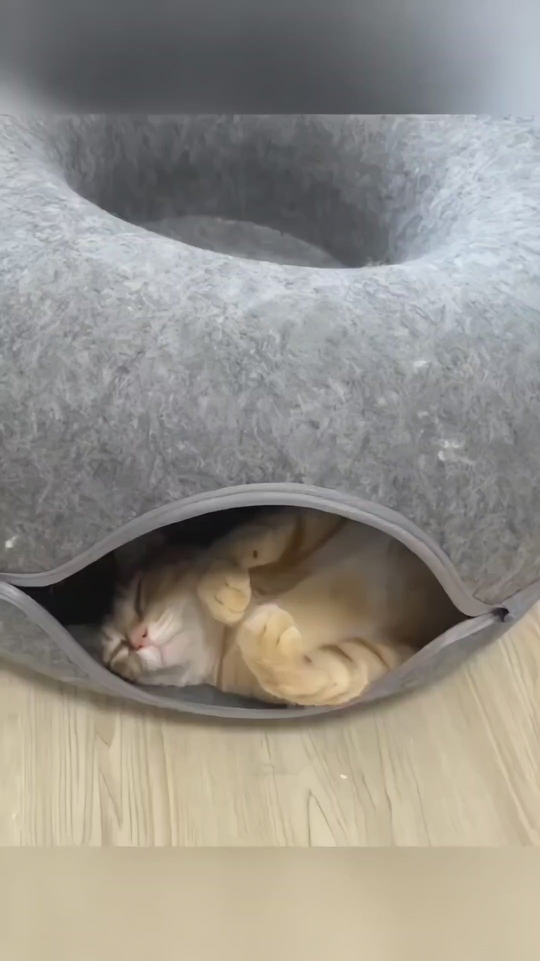2-in-1 Cat Tunnel & Cozy Donut Bed